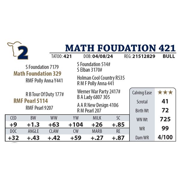 MATH FOUDATION 421