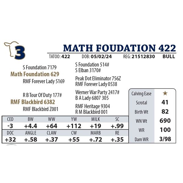 MATH FOUDATION 422