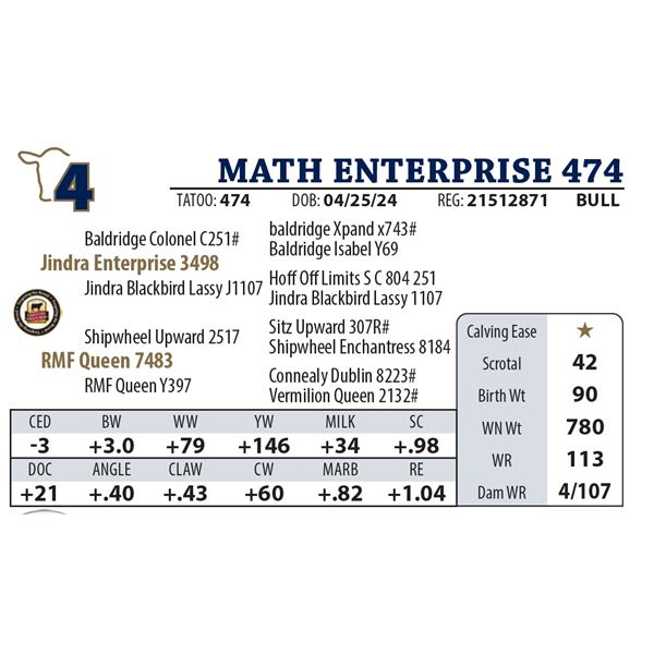 MATH ENTERPRISE 474