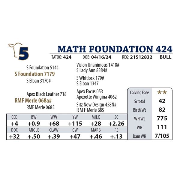 MATH FOUNDATION 424