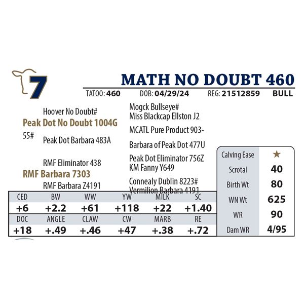MATH NO DOUBT 460