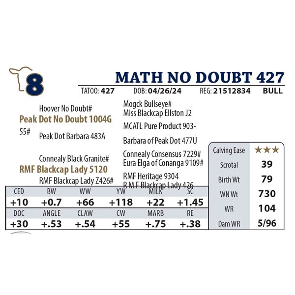 MATH NO DOUBT 427