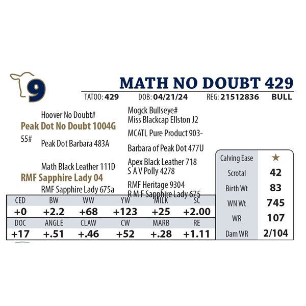 MATH NO DOUBT 429