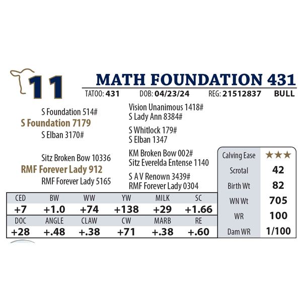 MATH FOUNDATION 431