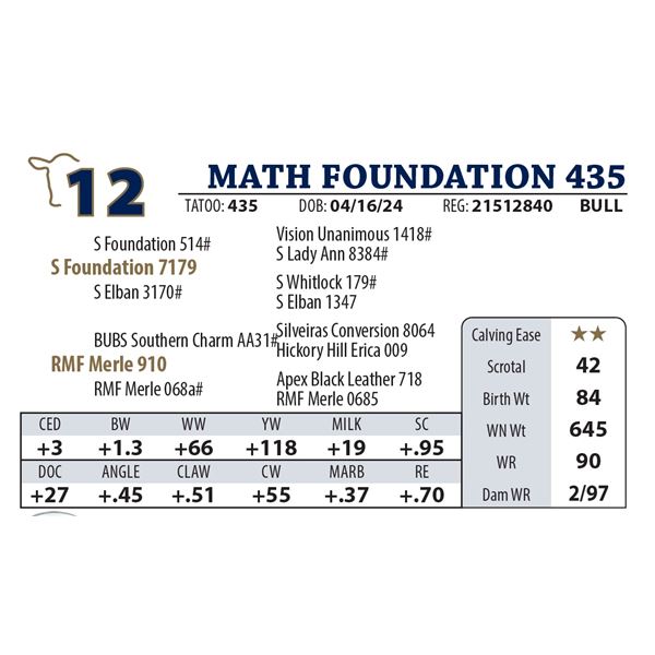 MATH FOUNDATION 435