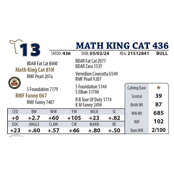 MATH KING CAT 436