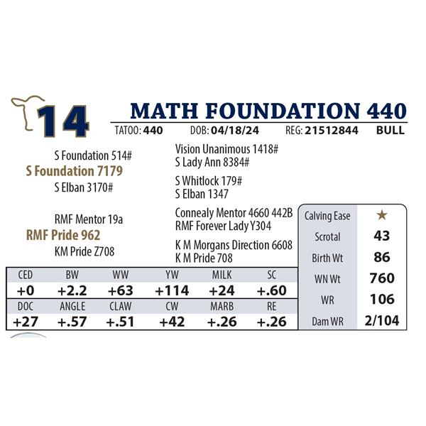 MATH FOUNDATION 440