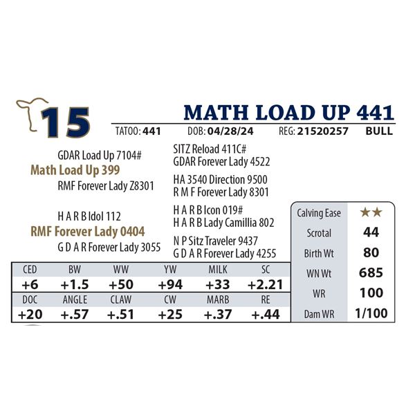 MATH LOAD UP 441