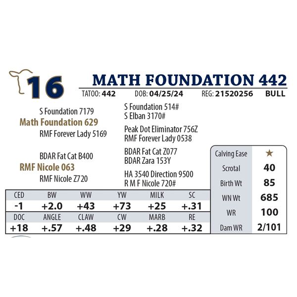 MATH FOUNDATION 442