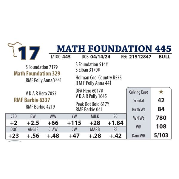 MATH FOUNDATION 445