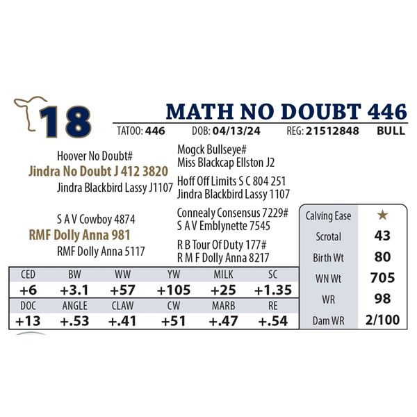 MATH NO DOUBT 446