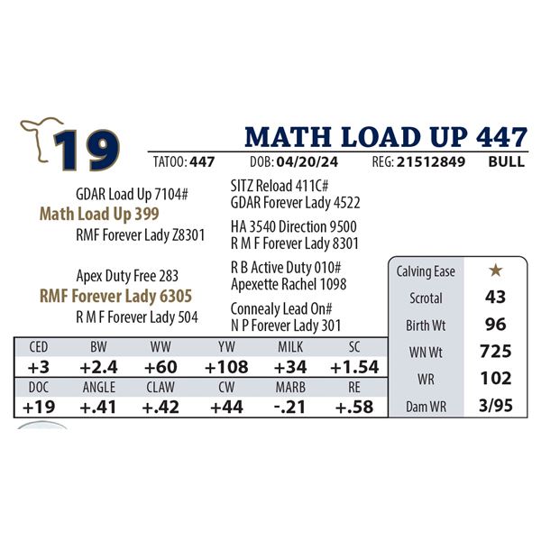 MATH LOAD UP 447