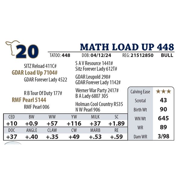 MATH LOAD UP 448