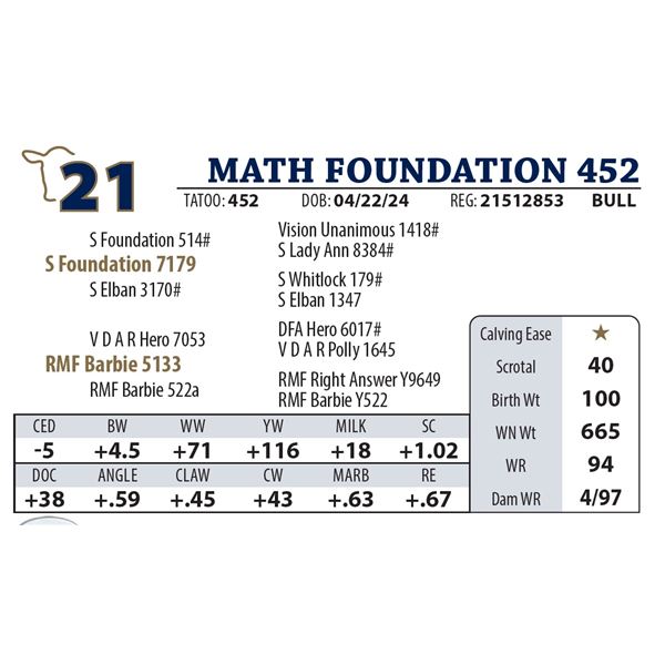 MATH FOUNDATION 452