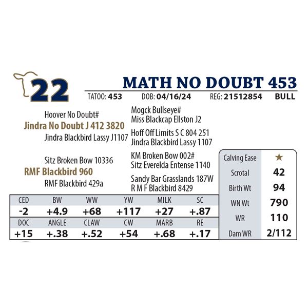 MATH NO DOUBT 453