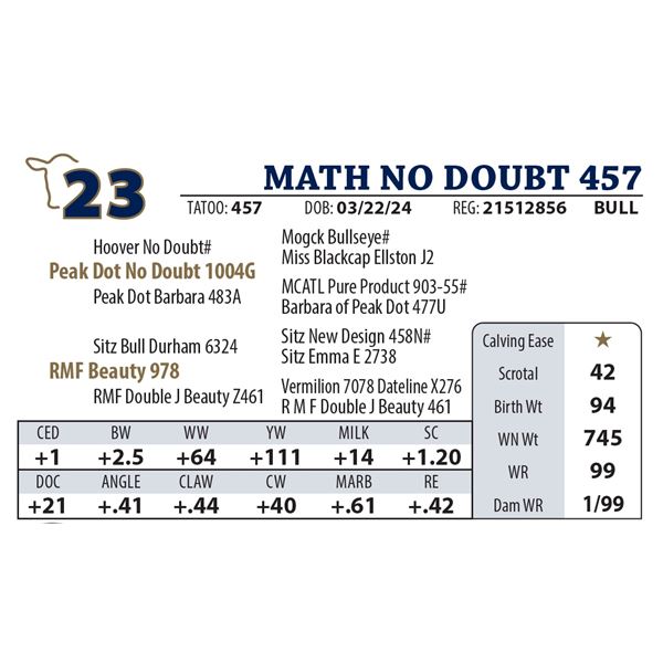MATH NO DOUBT 457