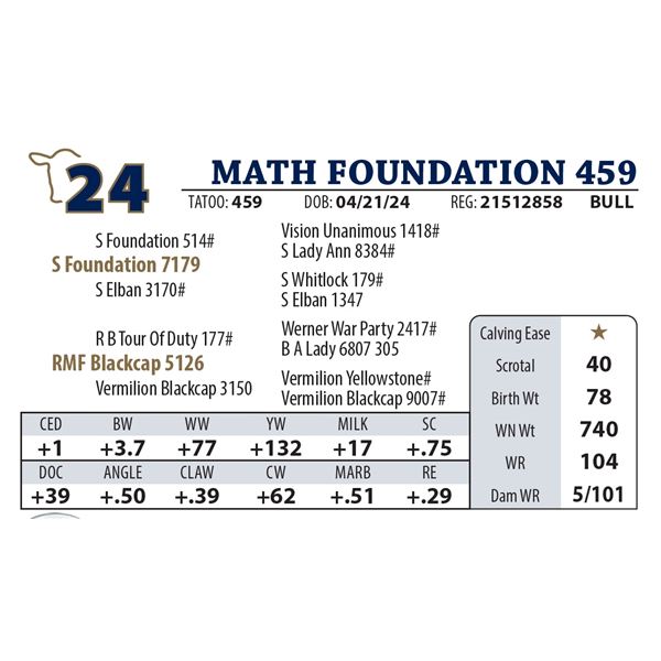 MATH FOUNDATION 459