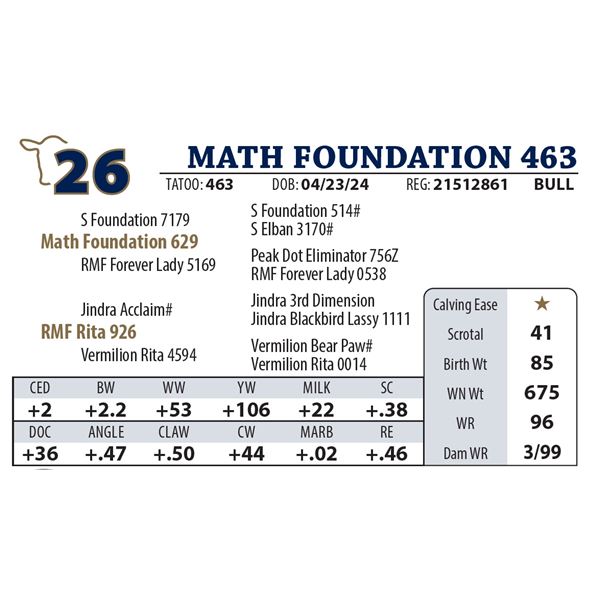 MATH FOUNDATION 463