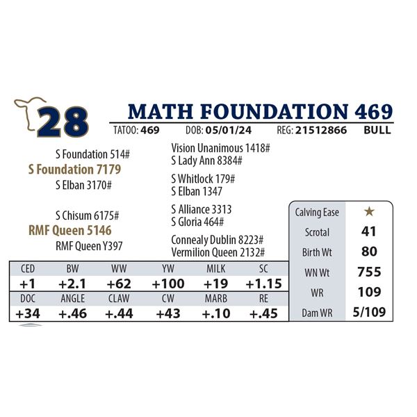 MATH FOUNDATION 469