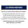 Image 1 : 20 OPEN HEIFERS