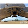 Image 36 : 2020 LINK-BELT 3240TLN SHORT WOOD LOG LOADER