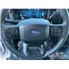 Image 16 : 2024 FORD F150 XL CREW CAB PICKUP