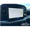 Image 20 : 2024 FORD F150 XL CREW CAB PICKUP