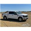 Image 2 : 2024 FORD F150 XL CREW CAB PICKUP