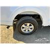 Image 43 : 2024 FORD F150 XL CREW CAB PICKUP
