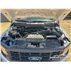 Image 48 : 2024 FORD F150 XL CREW CAB PICKUP