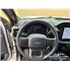 Image 13 : 2024 FORD F150 STX CREW CAB PICKUP