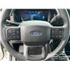Image 16 : 2024 FORD F150 STX CREW CAB PICKUP