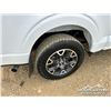 Image 43 : 2024 FORD F150 STX CREW CAB PICKUP