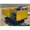 Image 2 : CD25 CRAWLER DUMPER