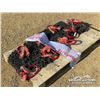 Image 2 : QTY OF 7 FT. LIFTING CHAIN SLINGS
