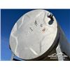 Image 9 : 300 GALLON FUEL TANK & STAND