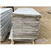 Image 7 : (20) 3 X 8 FT. INSULATED PANELS