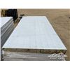 Image 8 : (20) 3 X 8 FT. INSULATED PANELS