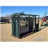 Image 3 : CATTLE SQUEEZE & PALPATION CAGE