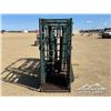 Image 5 : CATTLE SQUEEZE & PALPATION CAGE