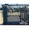 Image 6 : CATTLE SQUEEZE & PALPATION CAGE