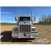 Image 76 : 2006 PETERBILT 378 T/A SLEEPER WINCH TRACTOR