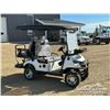 Image 10 : SDLANCH 4 SEAT ELECTRIC GOLF CART