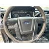Image 16 : 2013 FORD F150 XL 4X4 PICKUP