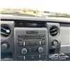 Image 20 : 2013 FORD F150 XL 4X4 PICKUP