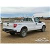 Image 3 : 2013 FORD F150 XL 4X4 PICKUP
