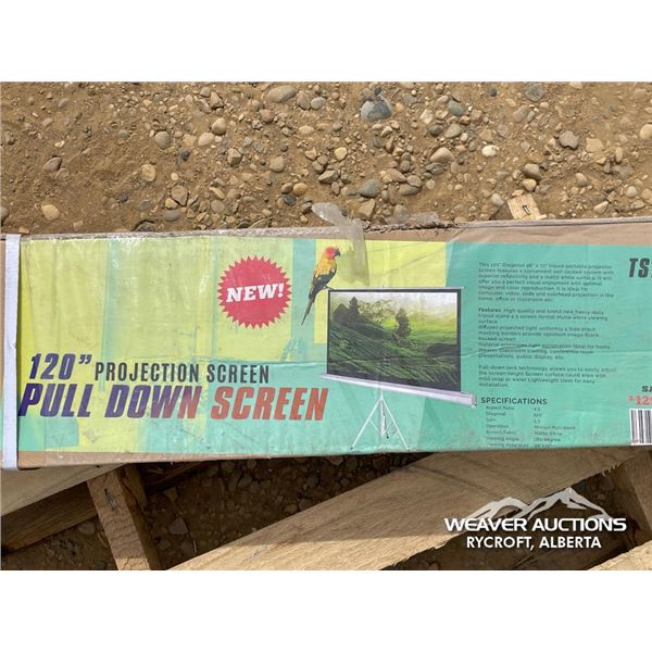 120 IN. PULL DOWN PROJECTION SCREEN