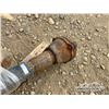 Image 6 : REDLINE 2 IN. SUCTION / DISCHARGE PUMP