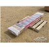 Image 3 : RED FIBERGLASS EXTENSION LADDER