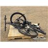 Image 4 : (3) BIKES